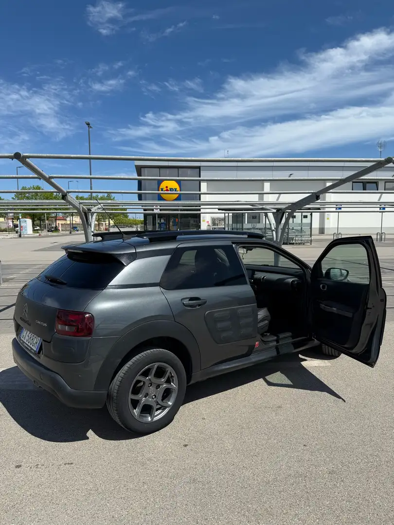 Citroen C4 Cactus SOCIETE BLUEHDI 100 BVM FEEL BUSINESS - 1