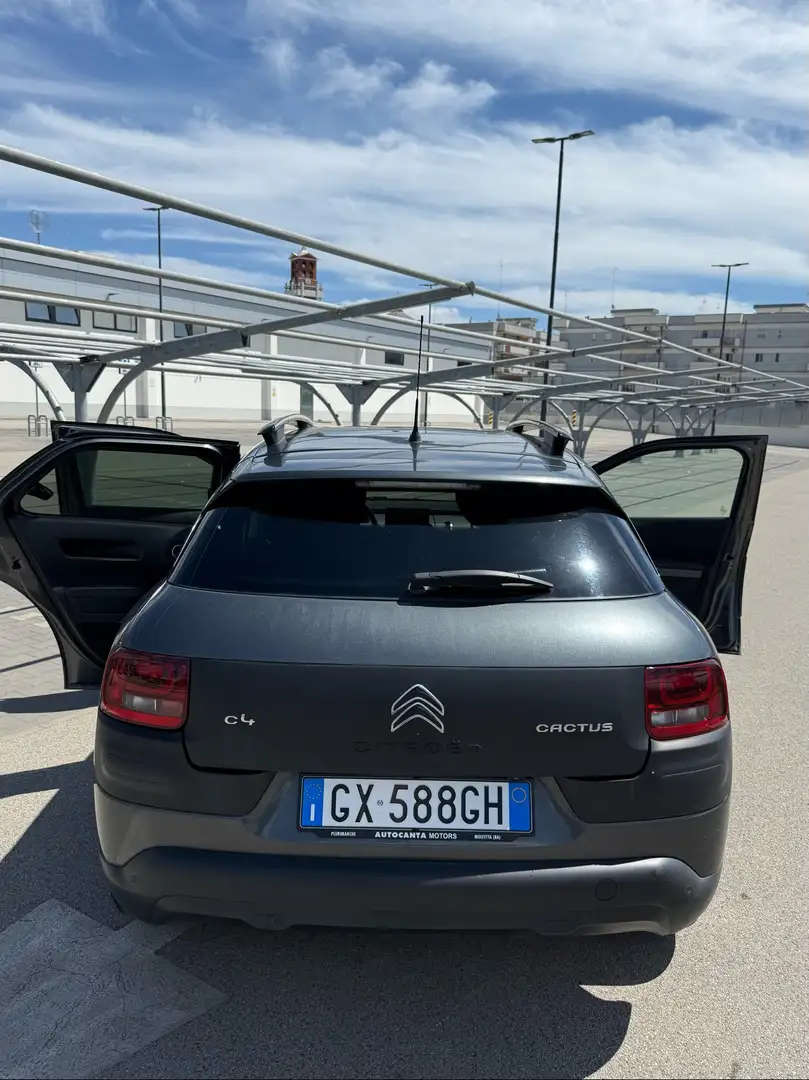 Citroen C4 Cactus SOCIETE BLUEHDI 100 BVM FEEL BUSINESS - 2