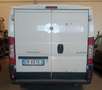 Peugeot Boxer Bianco - thumbnail 2