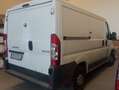 Peugeot Boxer Bianco - thumbnail 4