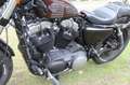 Harley-Davidson Sportster Forty Eight Rood - thumbnail 4