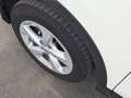 Nissan Qashqai Qashqai 1.2 DIG-T Acenta 4x2 AHK+NAVI+RFK+SHZ+ BC Weiß - thumbnail 9