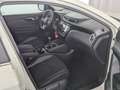 Nissan Qashqai Qashqai 1.2 DIG-T Acenta 4x2 AHK+NAVI+RFK+SHZ+ BC Weiß - thumbnail 12