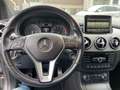 Mercedes-Benz B 220 B 220 4Matic Aut./AHK/Kamera/Navi/Standheizung Grijs - thumbnail 14