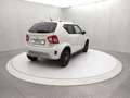 Suzuki Ignis 1.2 Hybrid 4WD All Grip Top Bianco - thumbnail 4