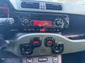 Fiat Panda Panda 1.3 mjt 16v 4x4 75cv Verde - thumbnail 13