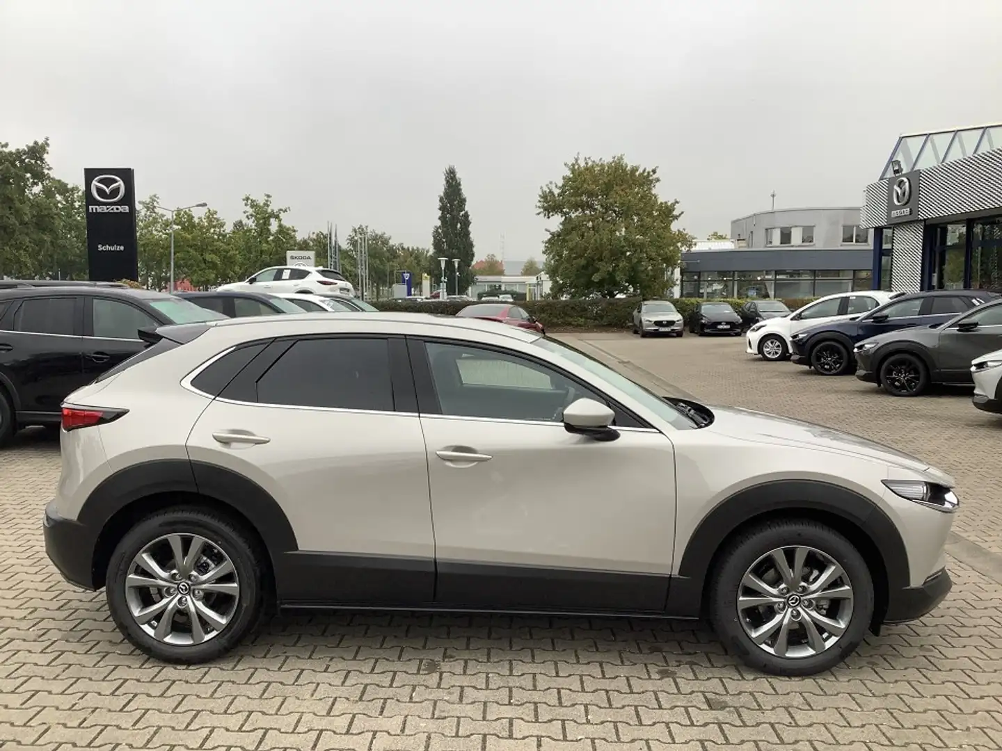 Mazda CX-30 2.5L e-SKYACTIV G 140ps  Exclusive-line Silber - 2
