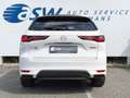 Mazda CX-60 2.5 e-SkyActiv PHEV Homura | Pano | Driver Pack | Wit - thumbnail 6