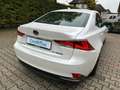 Lexus IS 300 h Amazing Edition Weiß - thumbnail 8