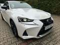 Lexus IS 300 h Amazing Edition Weiß - thumbnail 3