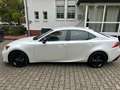 Lexus IS 300 h Amazing Edition Weiß - thumbnail 12