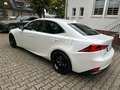 Lexus IS 300 h Amazing Edition Weiß - thumbnail 10