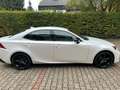 Lexus IS 300 h Amazing Edition Weiß - thumbnail 5