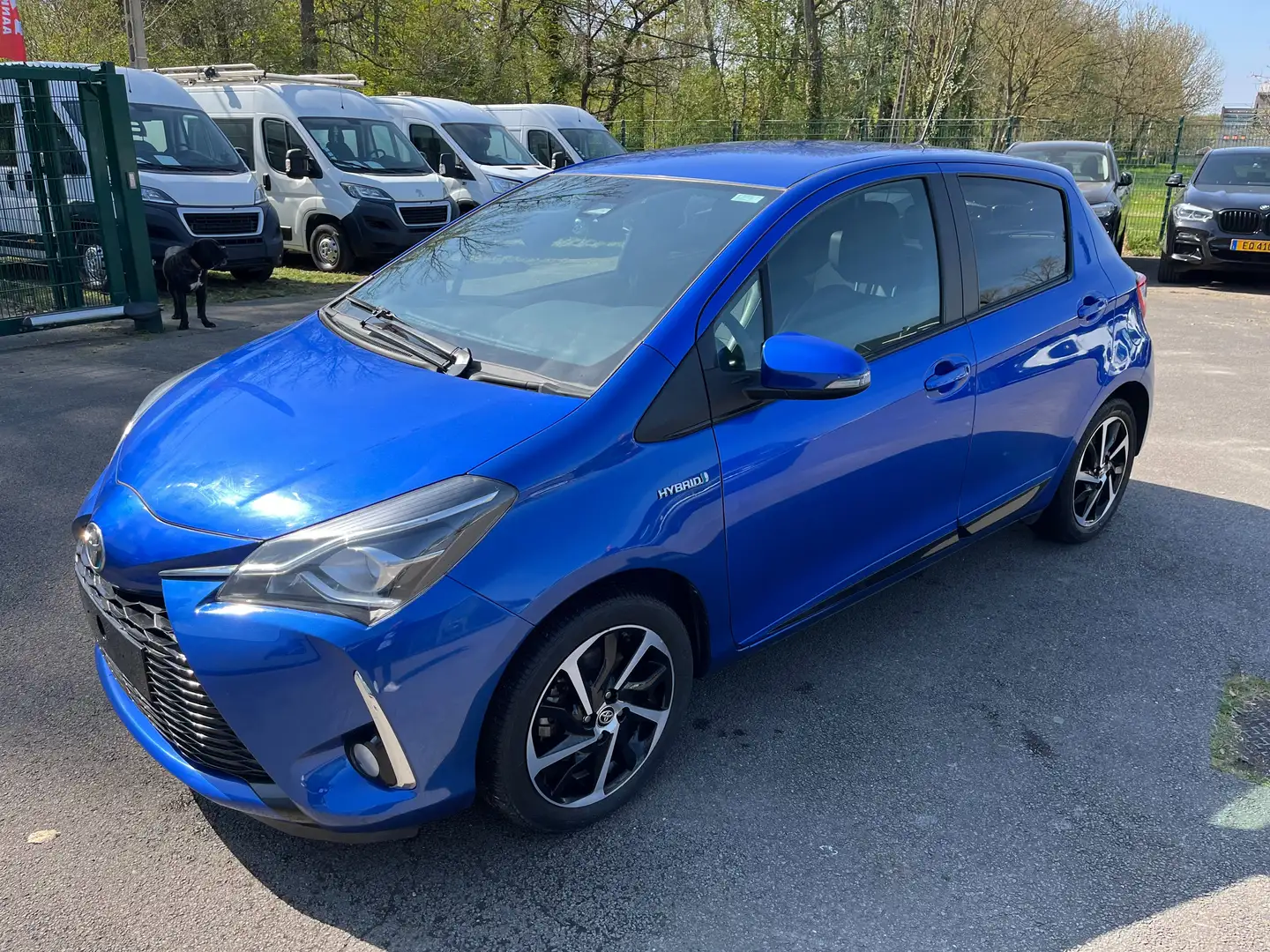 Toyota Yaris 1.5 VVT  HYBRIDE LOUNGE GARANTIE 12 MANDEN/MOIS Blauw - 1