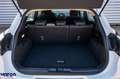 Ford Focus Focus Active SW 1.0 ecoboost h Design 125cv - thumbnail 8