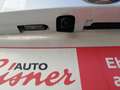 Mazda 2 HYBRID HOMURA Parksensoren, Regensensor Weiß - thumbnail 17