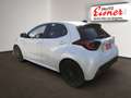 Mazda 2 HYBRID HOMURA Parksensoren, Regensensor Weiß - thumbnail 11