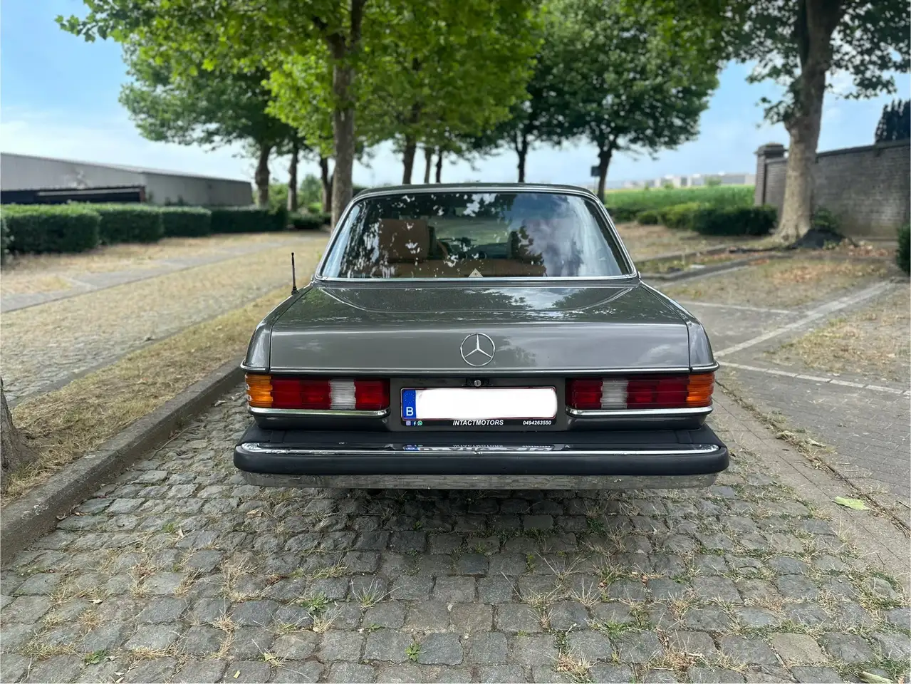 Mercedes-Benz Baureihe 123 American Edition, foto 6