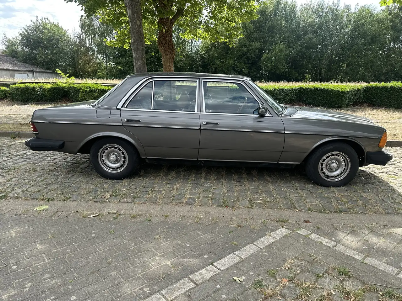 Mercedes-Benz Baureihe 123 American Edition, foto 4