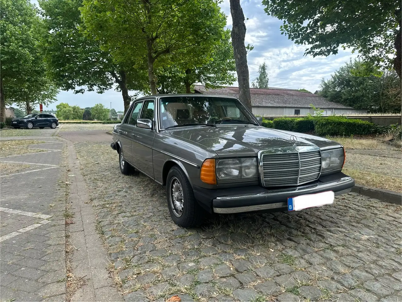 Mercedes-Benz Baureihe 123 American Edition, foto 3