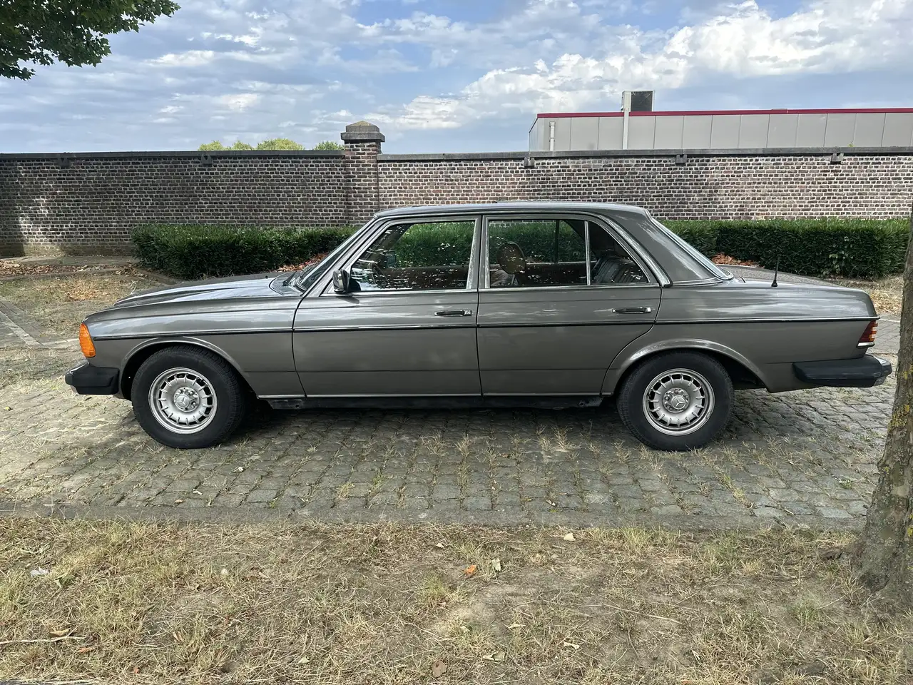 Mercedes-Benz Baureihe 123 American Edition, foto 8