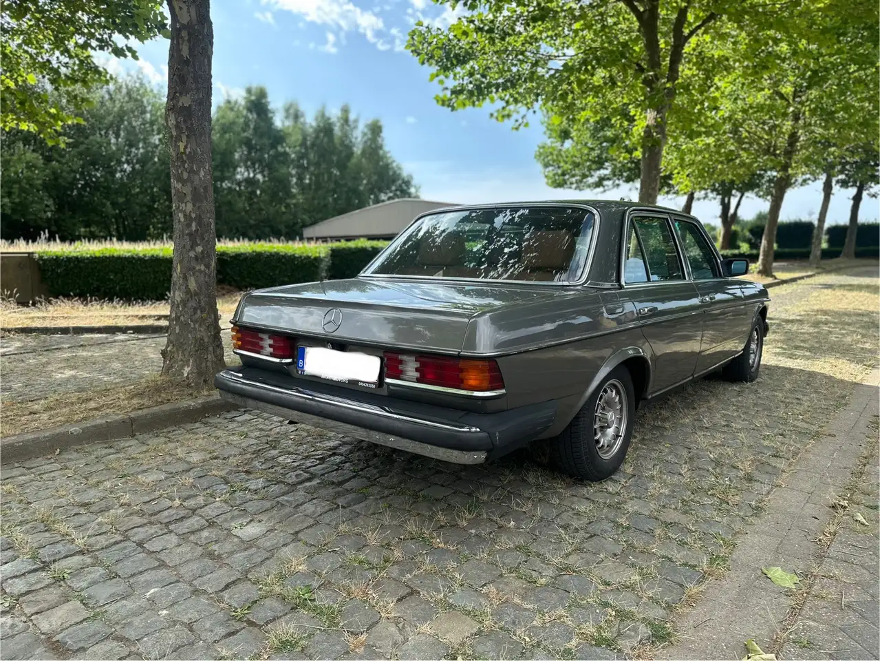 Mercedes-Benz Baureihe 123 American Edition, foto 5