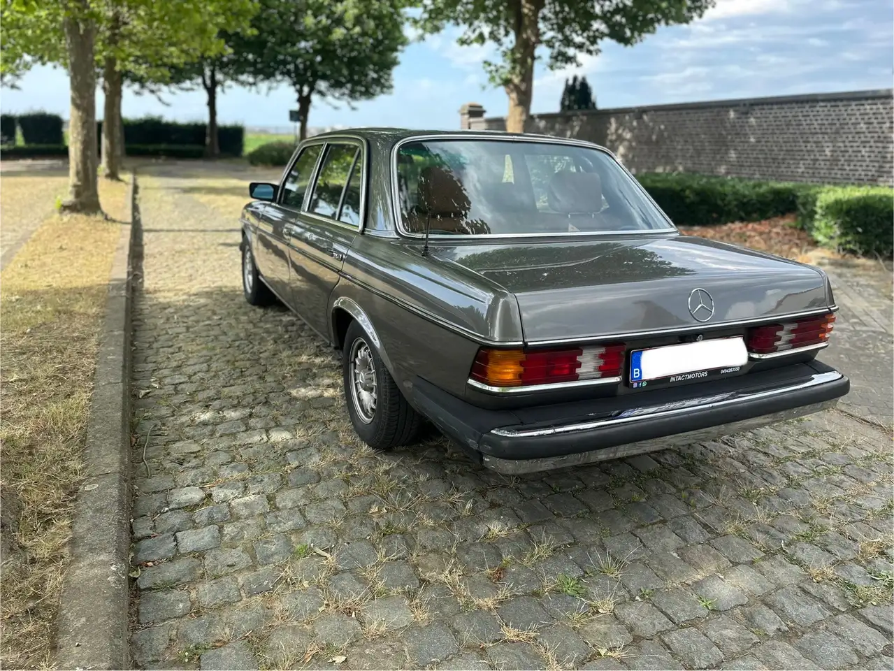 Mercedes-Benz Baureihe 123 American Edition, foto 7
