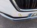 Skoda Kamiq 1.0 TSI Ambition 85kW Blanco - thumbnail 15