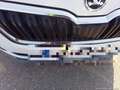 Skoda Kamiq 1.0 TSI Ambition 85kW Blanco - thumbnail 19