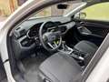Audi Q3 35 TDI S tronic S line edition "ProMMo" Bianco - thumbnail 11