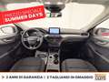 Ford Kuga 2.5 phev titanium 2wd 225cv e-shifter Rouge - thumbnail 11
