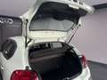 Citroen C3 BlueHDi 75 S&S Shine Verde - thumbnail 12