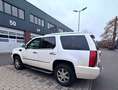 Cadillac Escalade Escalade 6.0 V8 Blanc - thumbnail 3