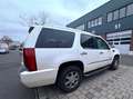Cadillac Escalade Escalade 6.0 V8 Blanc - thumbnail 2
