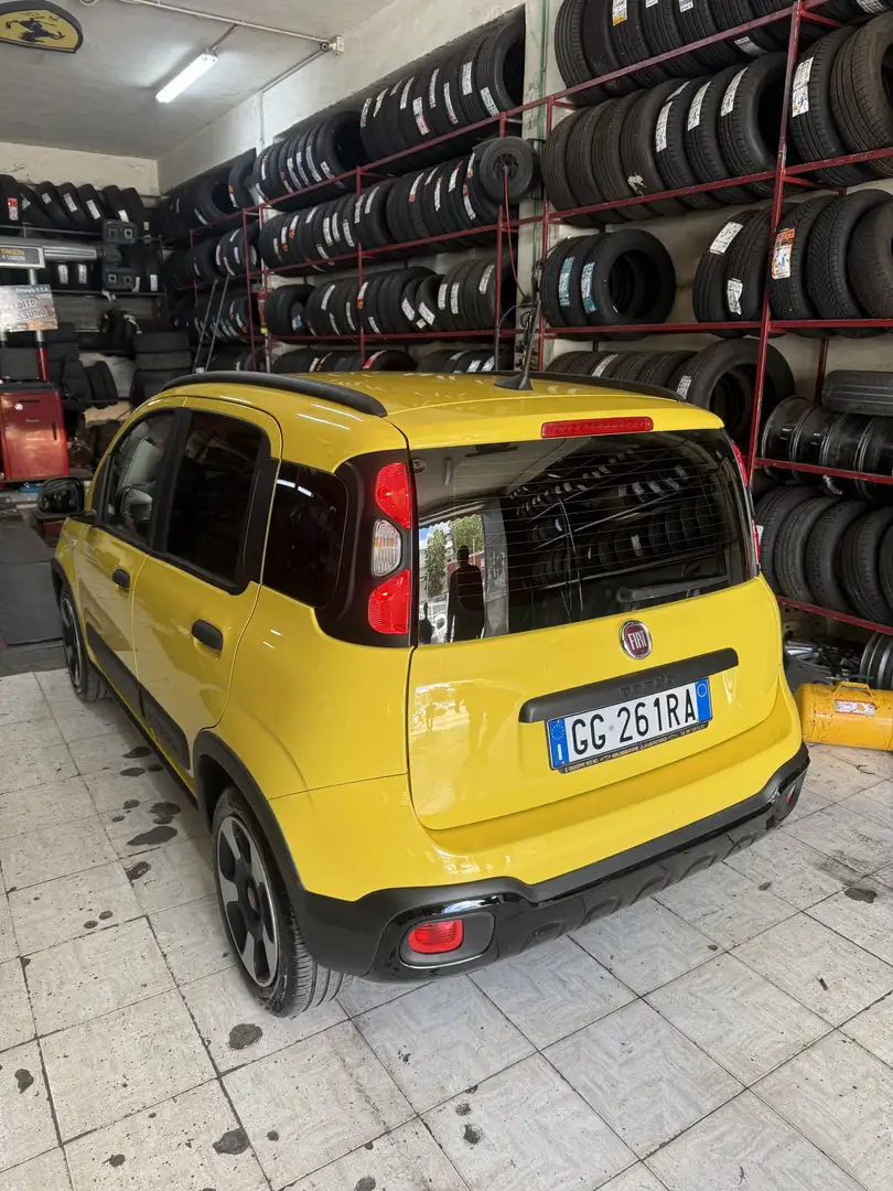 Fiat Panda 1.2 easypower City Cross Gpl s&s 69cv - 1