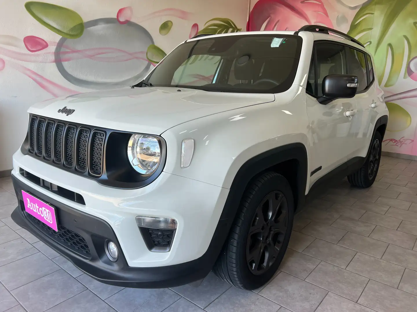Jeep Renegade Renegade 2019 1.6 mjt 80th Anniversary 2wd 130cv Bianco - 1