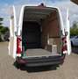 Mercedes-Benz Sprinter Sprinter 317  Kasten L2H2 RWD Klima Mbux Navi Weiß - thumbnail 7