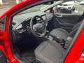 Ford Fiesta Fiesta 5p 1.0 C.AUT NO VINCOLO FINANZIAMENTO Rosso - thumbnail 5