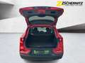 Renault Kadjar 1.3 TCe 140 GPF Business Edition KeyLess Roşu - thumbnail 6