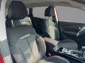 Renault Kadjar 1.3 TCe 140 GPF Business Edition KeyLess Roşu - thumbnail 13