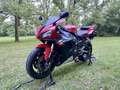 Yamaha YZF-R1 ASI (CRS + TARGA ORO) Rosso - thumbnail 3