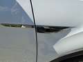 Volkswagen T-Roc 2.0TDI 115CV R-Line - NEOPATENTATI Bianco - thumbnail 12
