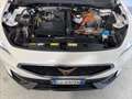 CUPRA Formentor 1.4 e-hybrid 204cv dsg Weiß - thumbnail 15