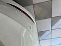 Volkswagen Polo 1.0 tsi Life 95cv Blanc - thumbnail 22