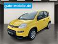 Fiat Panda 1.0 GSE N3 Hybrid (51 KW) 69 PS/ In drei Farben Gelb - thumbnail 5