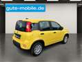 Fiat Panda 1.0 GSE N3 Hybrid (51 KW) 69 PS/ In drei Farben Gelb - thumbnail 12