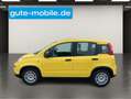 Fiat Panda 1.0 GSE N3 Hybrid (51 KW) 69 PS/ In drei Farben Gelb - thumbnail 16