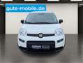 Fiat Panda 1.0 GSE N3 Hybrid (51 KW) 69 PS/ In drei Farben Gelb - thumbnail 4