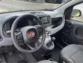 Fiat Panda 1.0 GSE N3 Hybrid (51 KW) 69 PS/ In drei Farben Gelb - thumbnail 8