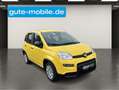 Fiat Panda 1.0 GSE N3 Hybrid (51 KW) 69 PS/ In drei Farben Gelb - thumbnail 7